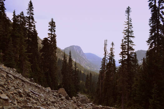 Snoqualmine National Forest