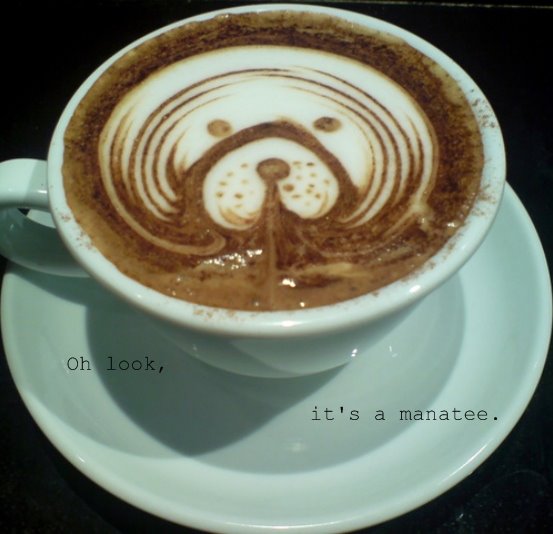 Seacow Cappuccino