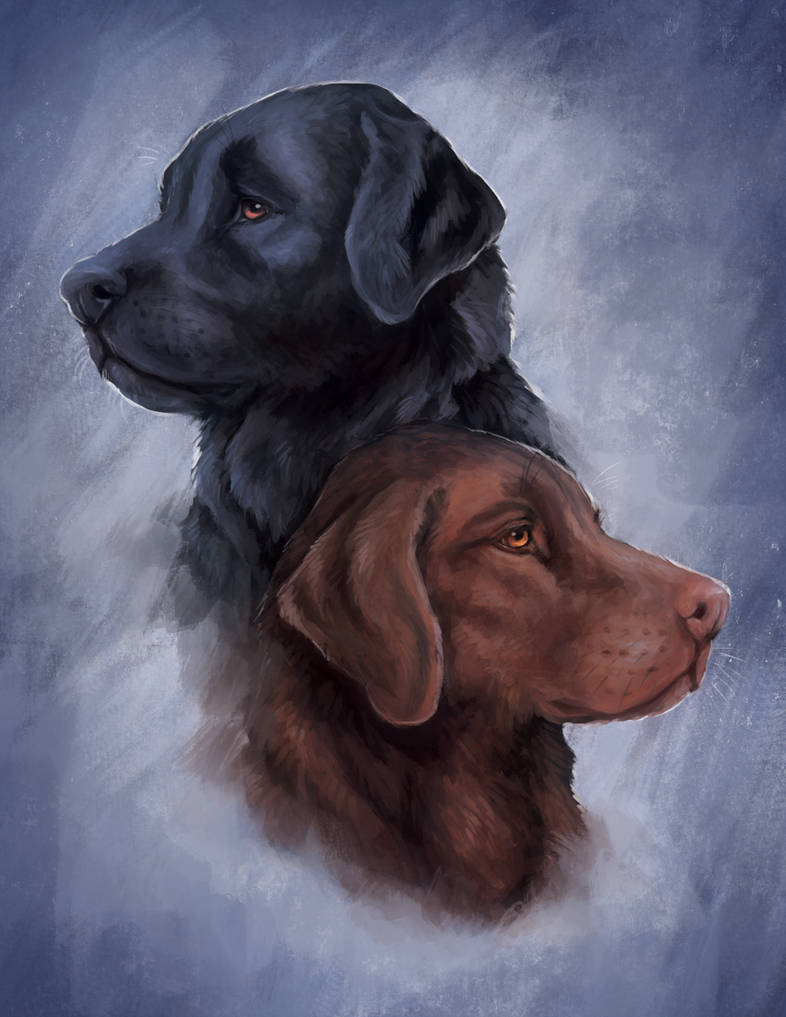 Humans Pating Labrador Labrador Pet Portrait by Cryptillian on DeviantArt