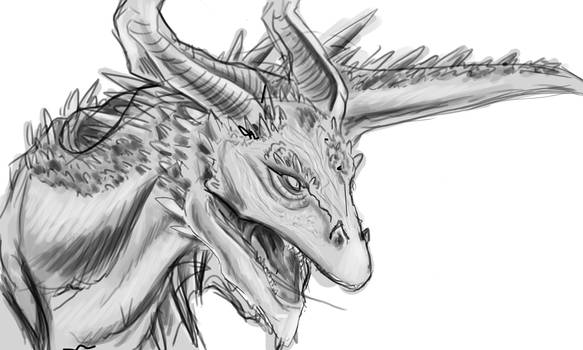 Dragon Sketch