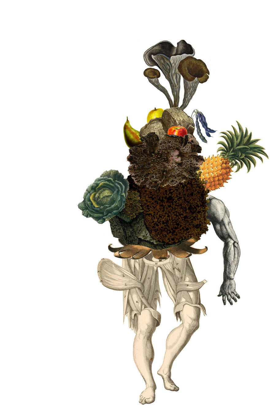 Deviantart Compostfly Compost Elemental by PerilousAbyss on DeviantArt