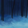 Night forest