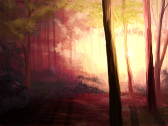 Forest at dawn