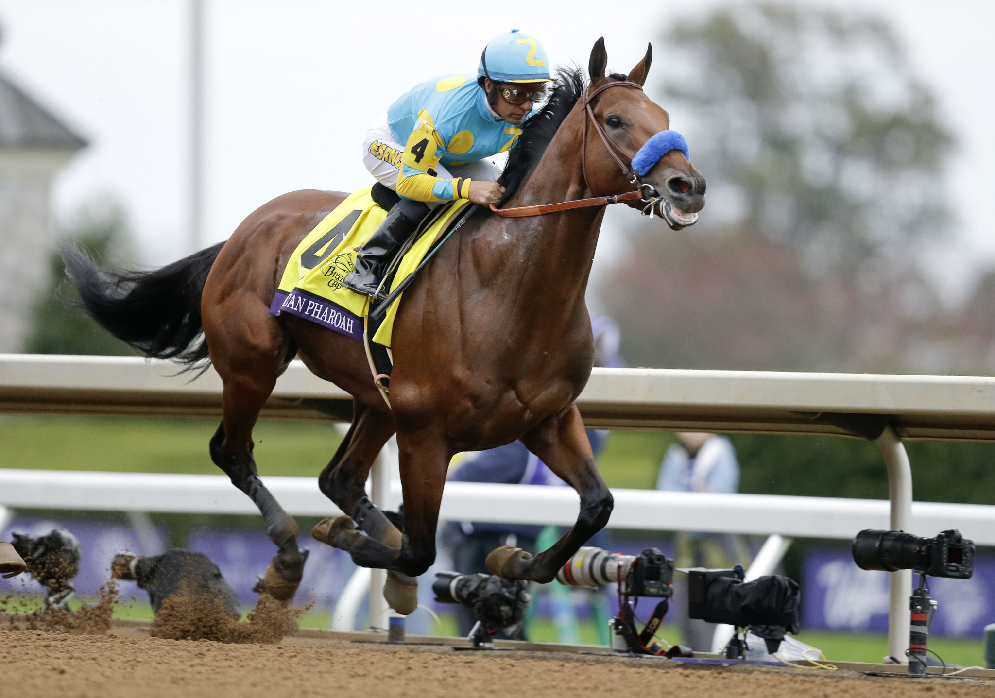 American Pharoah's Breeders' Cup Classic