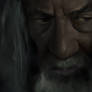 Gandalf Study