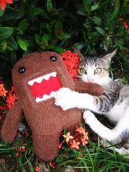 Domo is mine - and mine ONLY