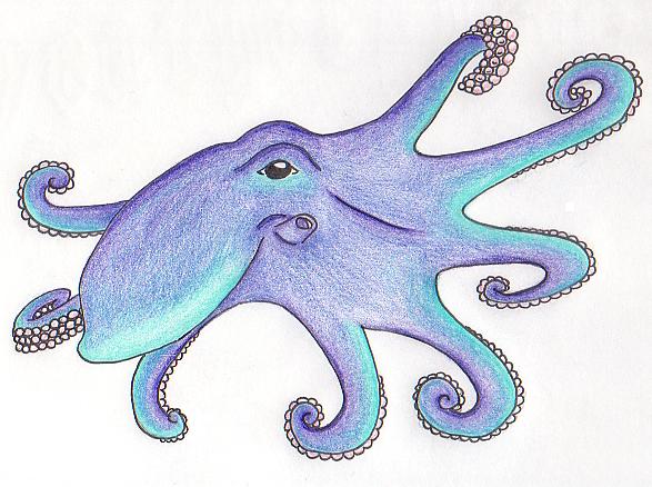 Pretty Octopus