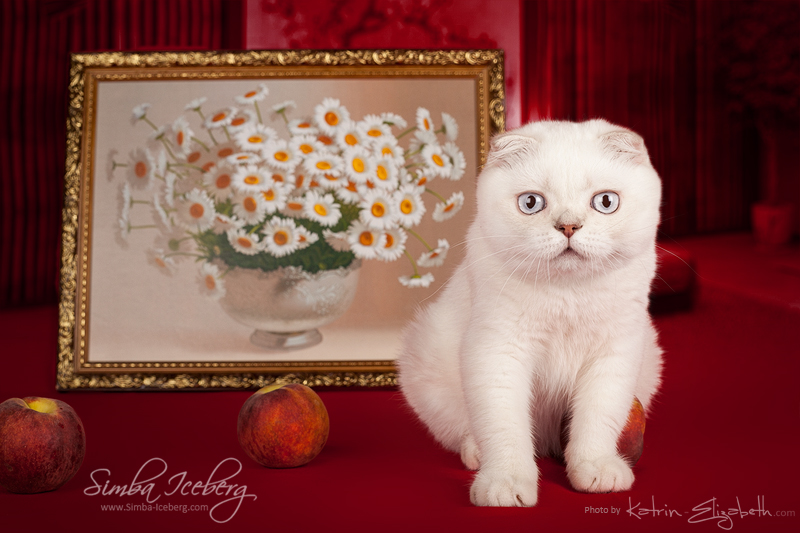 Cat and interior #3 by Katrin-Elizabeth