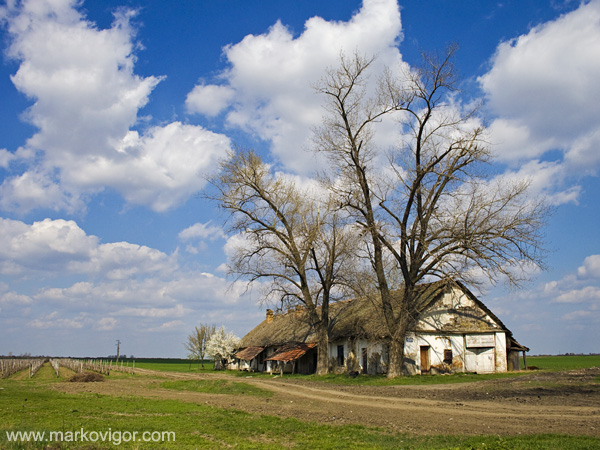 Old farm