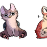 More Stoopid Adopts CLOSED