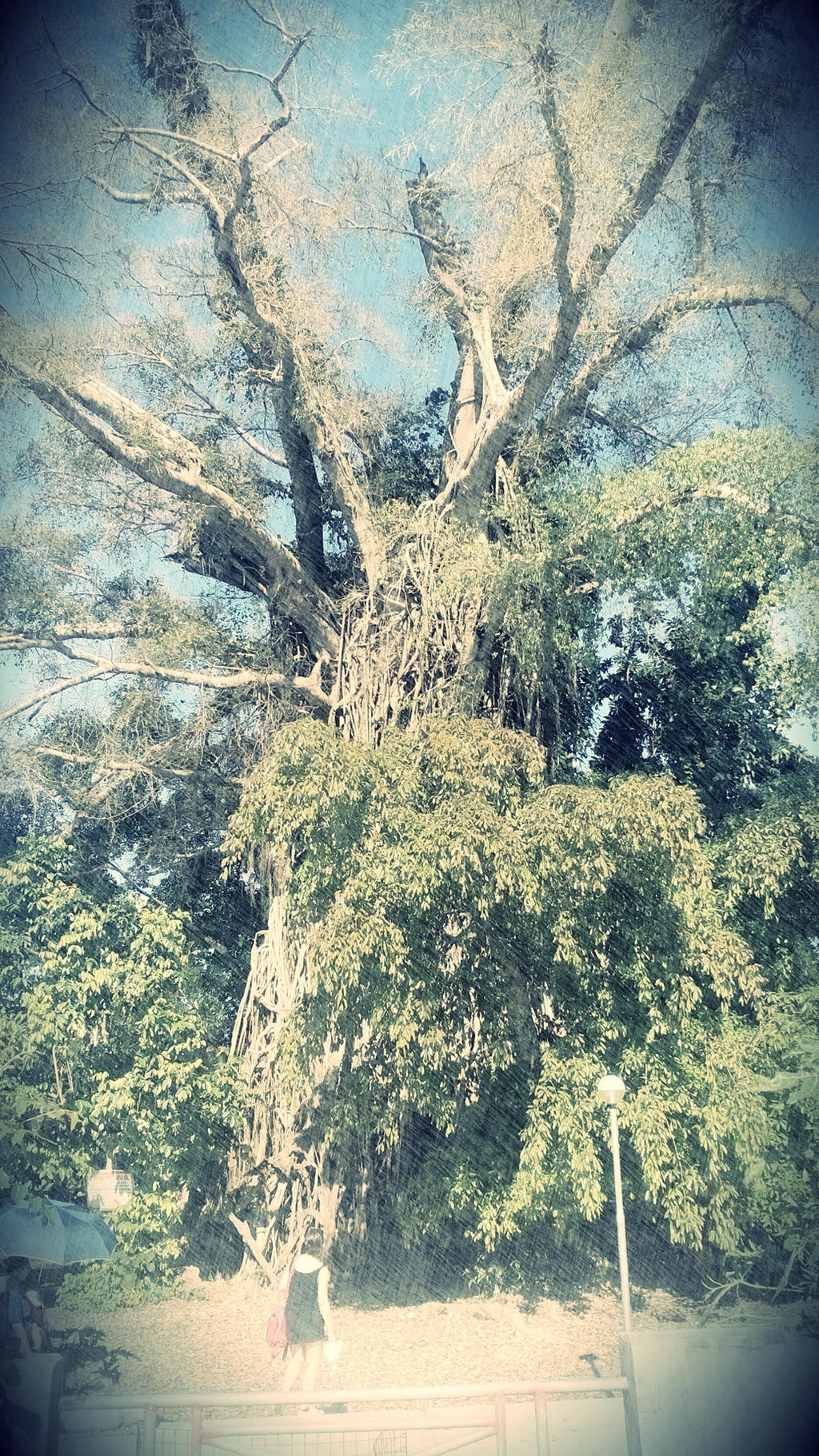Millennium Tree Rifts The Millennium Tree by NOXICI on DeviantArt