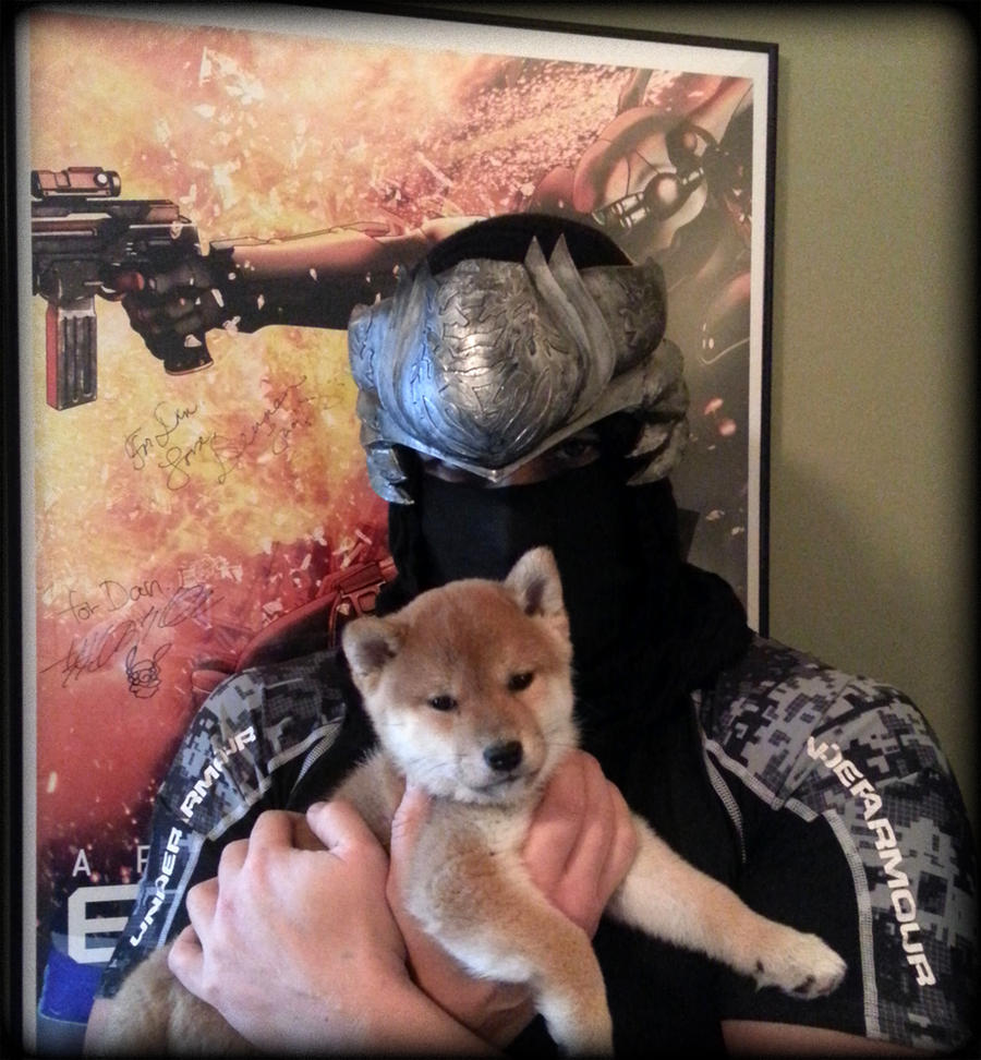 Ninja and Shiba