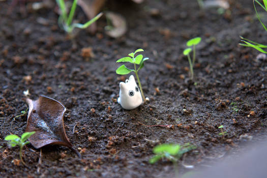 Chibi Totoro In The Forest