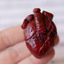 Anatomical Heart Magnet