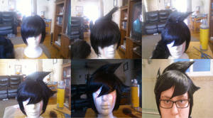 John Egbert Wig Process