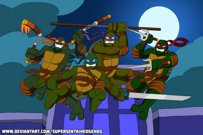 TMNT 35th Anniversary: 2003