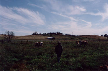 Self on farm