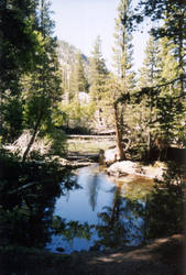 Bear Creek 3