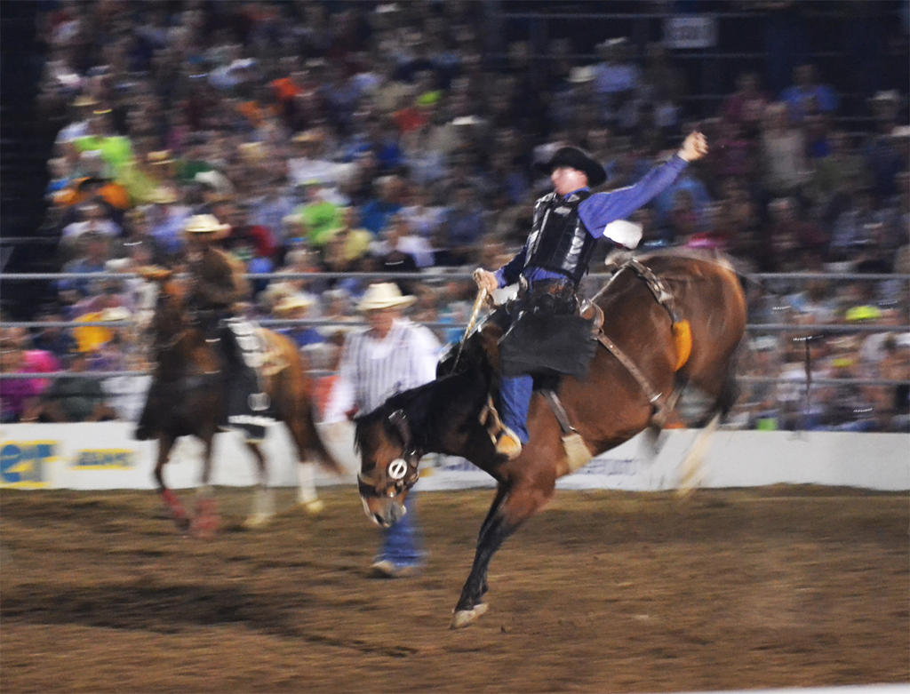 Rodeo 3 by mearcu on DeviantArt