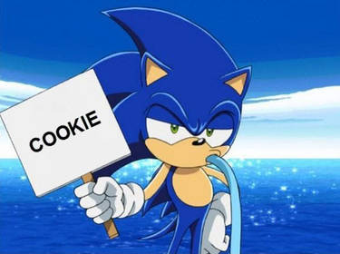Sonic holding a sign II