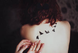 NIGHT BIRDS by laura-makabresku NIGHT BIRDS by laura-makabresku