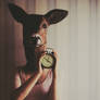 deer, clock with coffee in it.