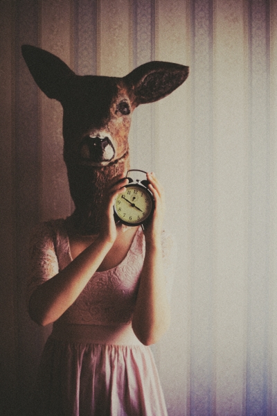 deer, clock with coffee in it.