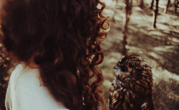 little girl with her owl