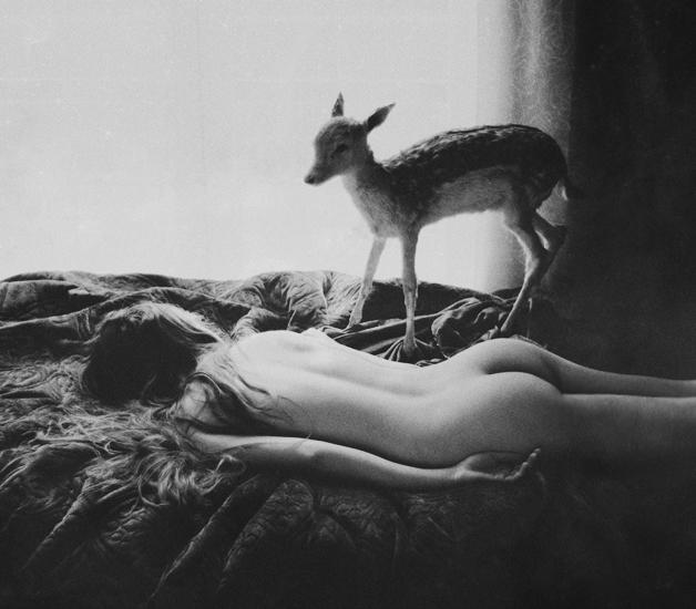 little deer by laura-makabresku