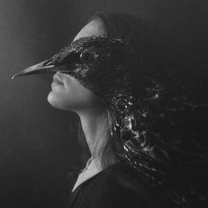 Bird by laura-makabresku Bird by laura-makabresku