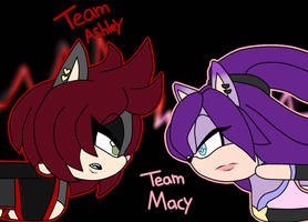 Team Ashley V Team Macy