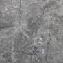 Cracked mud