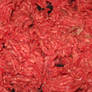 Beef
