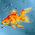 Avatar: Gold Fishie Painting by FantasyStockAvatars