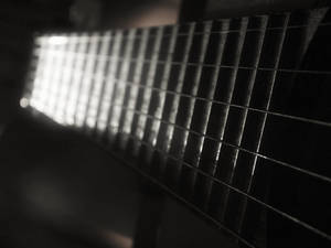 Neck of my acoustic guitar