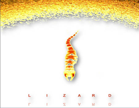 LIZARD