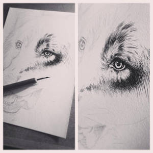 WIP wolf..