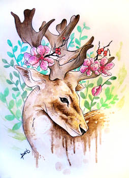 Watercolor deer