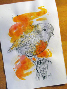 Watercolor Robin