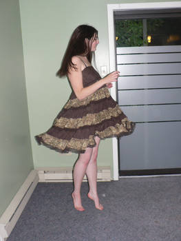 Brown Dress 5