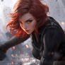 (P01D3) Black Widow