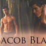 Jacob Black Blend