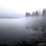 Lakeside Fog