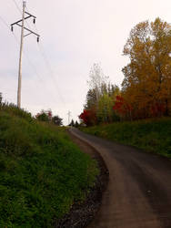 Autumn Walkway