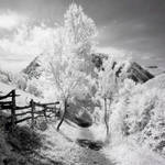 Infrared trail by mugurelm