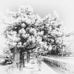 Street in infrared by mugurelm