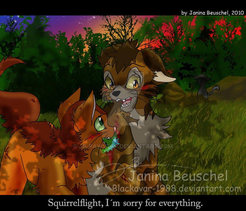 Sunset -Brambleclaw and Squirrelflight