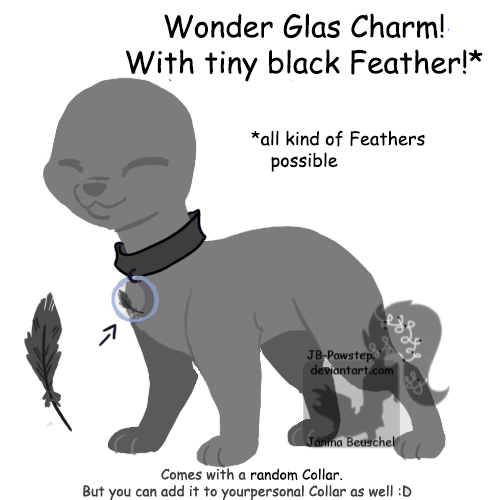 Wonder Glas Charm - Black Feather