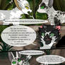 Faded Rainbows - Chapter 23 - Page 3
