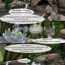 Faded Rainbows - Chapter 35 - Page 3